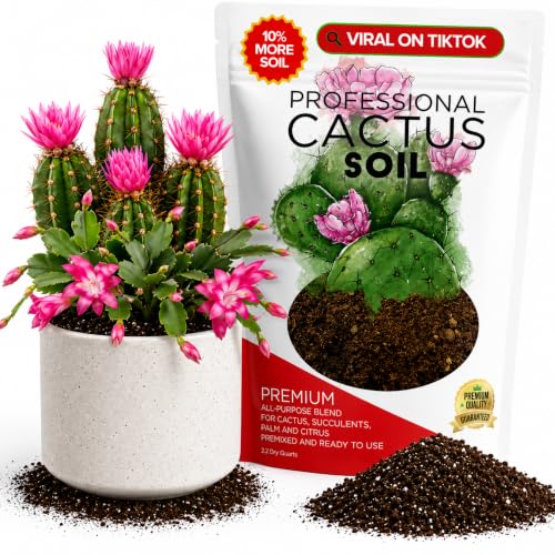 Leaves & Soul Cactus Soil Potting Mix 2.2 Qt for Cactus & Succulent Plants | Ideal Soil for Cactus, Suitable as Succulent Soil for Healthy Growth, Potting Soil with Fast Drainage and Moisture Retention - color: Cactus Soil, size: 2.2 Quarts