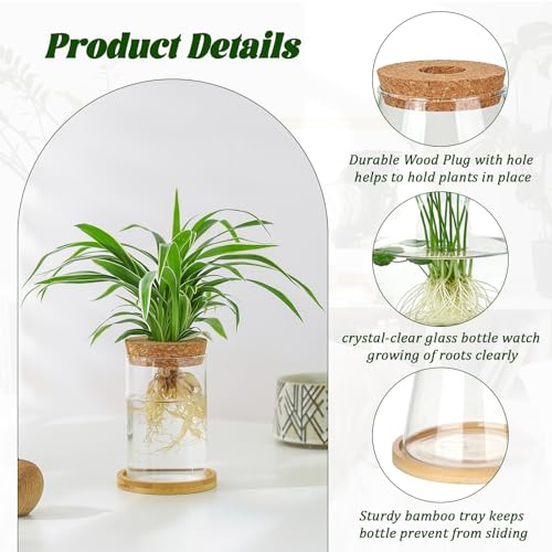 6 Pcs Plants Propagation Stations Glass Planter Terrariums with Wooden Lid and Bamboo Stand Desktop Propagation Vases Jars for Plant Growing Hydroponic Home Office Tabletop Garden Decoration