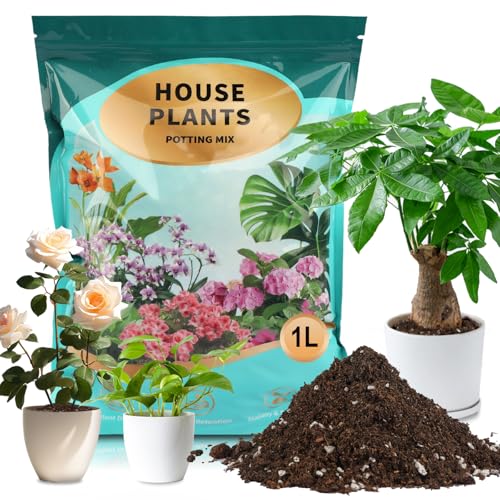 Potting Soil Mix 1qt for Indoor Plants, Organic Houseplant Soil Well Draining Dirt Ready to Use, Fit for House Plant Like Pothos, Philodendron, Monstera, African Violet - color: Houseplant Soil, size: 1qt