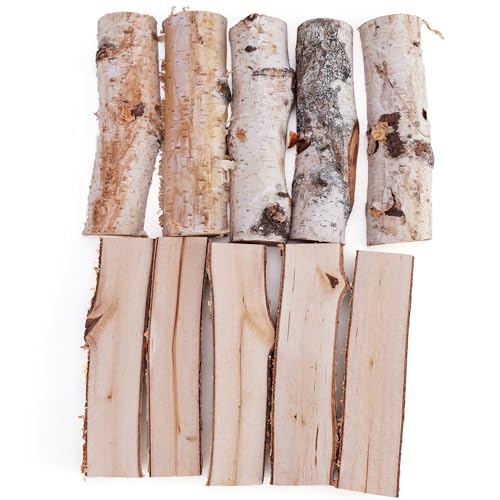Natural Birch Wood Logs for Crafts, 10Pcs 4.7 Inch Rustic Vase Fillers for Floral Arrangements, DIY Craft Decor, Unfinished Crafts for Centerpieces