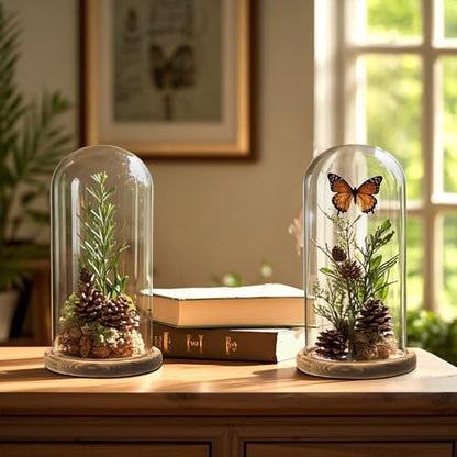 2 Pack Glass Cloche Display Dome, 10 Inch Large Decorative Glass Bell Jar, Clear Dome Showcase with Dark Brown Wooden Base, for Plants, Medals, Photos, Antique Collectibles, Mother's Day
