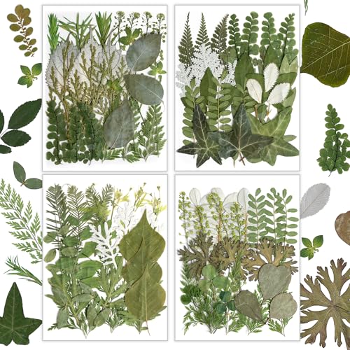 Resiners Dried Pressed Flowers for Resin Molds, Real Natural Dried Flowers Dry Leaves kit for Scrapbook Supplies Card Making Resin Jewelry Making Soap Candle DIY Crafts (Green Leaves100pcs) - color: Green Leaves100pcs