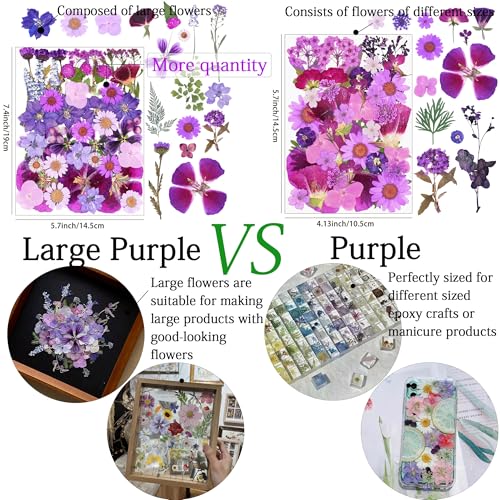 50Pcs Large Purple Dried Pressed Flowers for Crafts,Xinxinran Dry Flowers Kit for Resin Molds,Epoxy Resin Accessories,Bookmark,Nails, Jewelry Molds,Candle Making Supplies,Soap,Frame,Cakes - color: Large Purple 50pcs