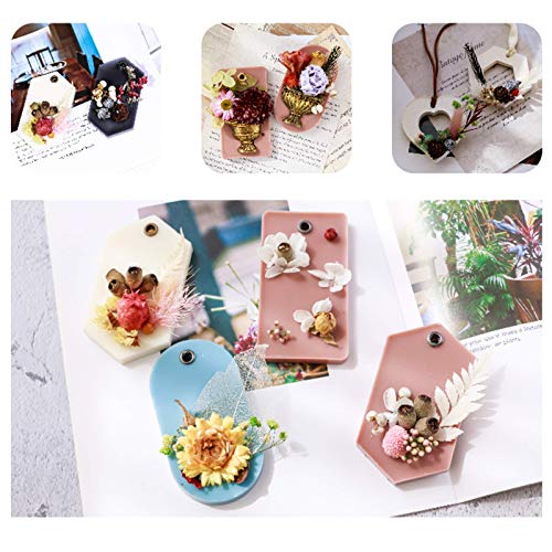 4 Packs Real Natural Dried Flowers for Making Mobile Phone Case Candle Handmade Crafts Epoxy Resin Pendant Necklace Jewelry DIY Accessories,Mixed Multi-Color Dried Flowers(Random Shipping 4 Packs)