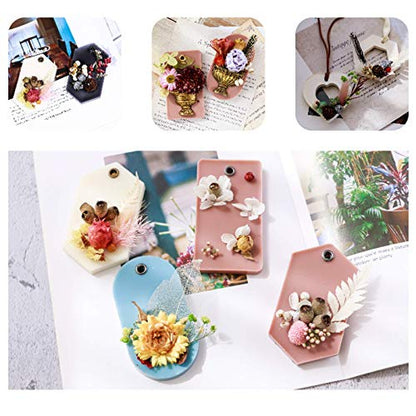 4 Packs Real Natural Dried Flowers for Making Mobile Phone Case Candle Handmade Crafts Epoxy Resin Pendant Necklace Jewelry DIY Accessories,Mixed Multi-Color Dried Flowers(Random Shipping 4 Packs)