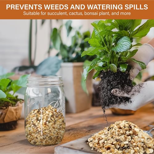 NUPICK 1-3mm Coarse Sand for Plants, 20lb Aquarium Sand for Terrarium