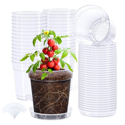 homenote 5 Inch Clear Nursery Pots 30 Pack with Drainage Holes and Saucers | Includes 30 matching saucers and 10 reusable labels, with rigid clear walls for easy root growth and soil moisture checks. - color: Without Humidity Domes, size: 5 INCH