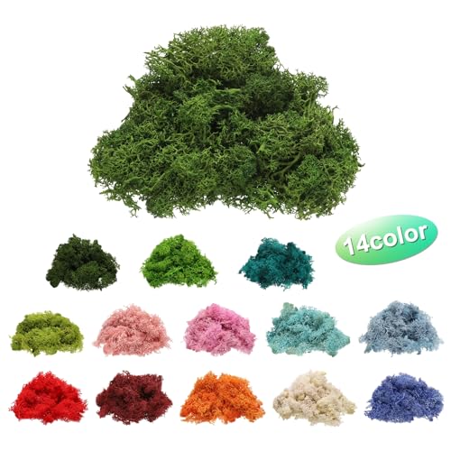 Preserved Reindeer Moss, 4 OZ Fake Moss for Crafts Artificial Dried Moss for Decoration, Craft, Terrariums, Potted Plants, Centerpieces Fairy Gardens (Green)