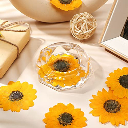 Roowest 12 Pcs Dried Pressed Flowers for Resin Natural Sunflower Real Petals for Jewelry Candle Soap Making DIY Art Craft Scrapbooking Supplies (1.97-3.15 Inches) - size: 1.97-3.15 Inches