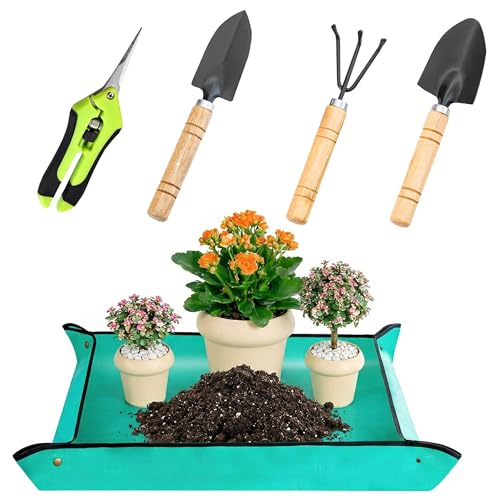 Indoor Gardening Tools Set with Waterproof Repotting Mat, 5Pcs Mini Garden Tools for Succulents, Bonsai & Houseplants, Includes Pruning Shears, Transplanting Shovel & Rake for Plant Care
