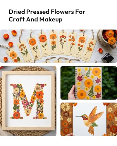 Dried Flowers, Resiners 100Pcs Pressed Flowers for Craft Real Natural Dried Flowers Dry Leaves Kit for DIY Making Crafts Resin Soap Candle Scrapbook Supplies Card Making Jewelry - color: Fall Color 100pcs