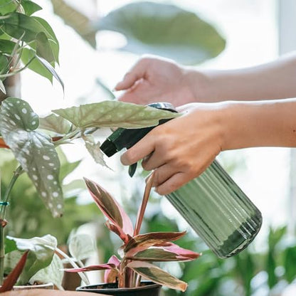 Green Glass Spray Bottle, Refillable Indoor Plant Mister,13.5oz Water Spray Bottle with Adjustable Nozzle,Plant Mister Spray Bottles for Indoor Plants, Cleaning, Hair Care, Pets Care(2pcs) - color: Green