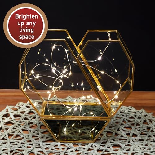 D'Eco Glass Gold Heart Plant Terrarium, Centerpiece & Wedding Letterbox | Tabletop Geometric Planter Terrarium, Fill Display with Succulents, Moss, Air Plants, Ferns, Home & Office Decor, Dims:8x8x3" - size: Heart