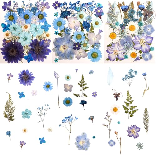 100 PCS Blue Pressed Dried Flowers and Leaves with Tweezers | Natural Dried Flowers, For Resin, Candle, Jewelry, Scrapbooking & DIY Crafts - color: Blue 100