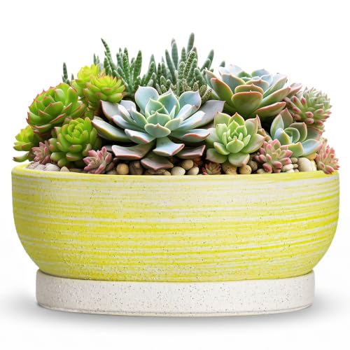 Succulent Pots, 13 Inch Ceramic Bonsai Tree Pots, Brushed Yellow - color: Brushed Yellow, size: 13 Inch