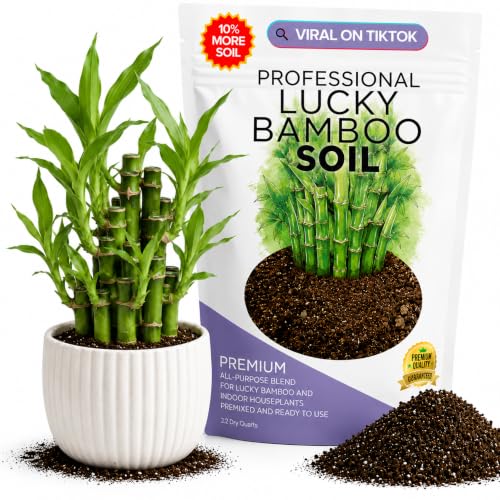 Leaves & Soul Lucky Bamboo Potting Soil 2.2 Qt for Lucky Bamboo Plant | Soil for Indoor Plants, Suitable for Lucky Bamboo & Houseplants, for Pots & Containers, Ready to Use for Decorative Planters - color: Lucky Bamboo Soil, size: 2.2 Quarts