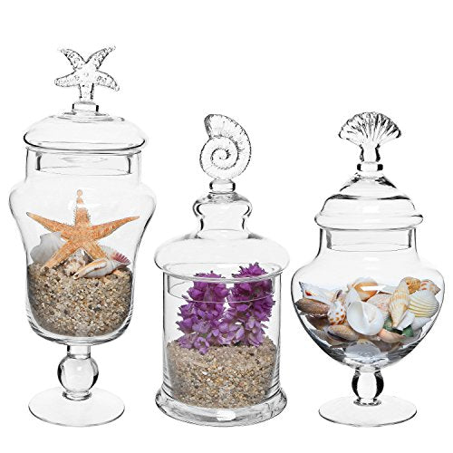 MyGift Clear Glass Apothecary Jars with Lid, Set of 3 | Decorative Seashell Design Bathroom Canister, Footed Candy Buffet Containers Vanity Kitchen Counter Pantry Display
