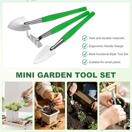 M METERXITY 2-Set Mini Gardening Tools, Stainless Steel Miniature Gardening Rake, Trowel, and Shovel for Seedlings/Bonsai/Succulents/Herbs/Terrariums and Planting [Green] - color: Green
