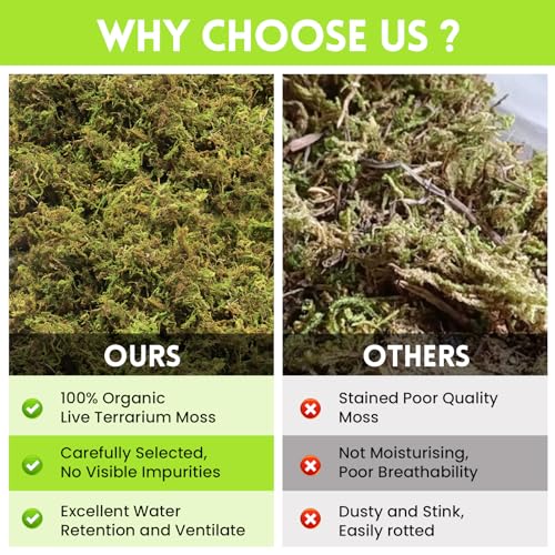 Riare 1.3lb Natural Sphagnum Moss for Reptiles, Terrarium Substrate Bedding | High Expansion, Moisture Retention, Helps Shedding, Long Fibered Dried Moss for Leopard Gecko, Snake, Frog, Turtle - color: 21 OZ
