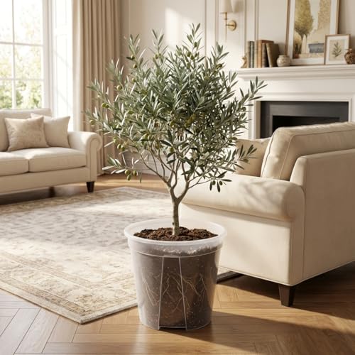 Large Clear Nursery Pot with Drainage Holes 7/8/10/12 inch,12pack | for Indoor&Outdoor Plant, monstera plant pot, monitor soil moisture and root health, semi-clear Plastic material - size: 7/8/9.5/12inch without trays