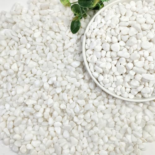 20lbs White Pebbles for Landscaping, 3/8inch Small Rocks for Gardening Succulent Cactus Planters, Natural Polished Pebbles, River Rocks for Plants, Vases - color: White, size: 20 LB