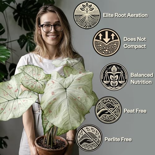 Craft Aroid Potting Mix- Elite Organic Alocasia, Philodendron, Monstera Soil Mix, Chunky, Well Draining Potting Soil for Indoor Plants, All Tropical Plants & Houseplants, Sustainable & Peat Free 4QT - size: 4 Quart