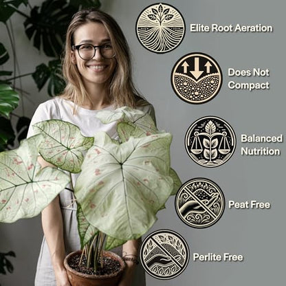 Craft Aroid Potting Mix- Elite Organic Alocasia, Philodendron, Monstera Soil Mix, Chunky, Well Draining Potting Soil for Indoor Plants, All Tropical Plants & Houseplants, Sustainable & Peat Free 4QT - size: 4 Quart