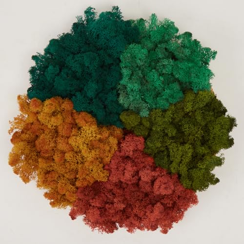 Preserved Reindeer Moss Natural Green DIY Kit Gardenning Art Wall Decor Florist Decor Easter Table Decor Wedding - color: Style-6, size: 1 lb