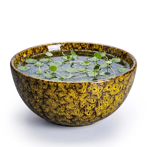 Lotus Bowl Planter, 8 Inch Ceramic Bonsai Pots, Yellow Leopard | Round Succulent Planters with Drainage Hole, Bowl Planter for Indoor Plants Outdoor, Living Room Decor, Plant Lover Gifts - color: Yellow Leopard-1, size: 8 Inch