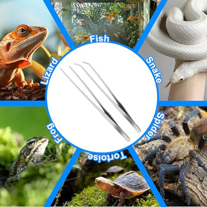 2 Pcs Reptile Feeding Tongs, 10.6IN Straight & Curved Long Tweezers | Extra Long Tweezers, Premium Stainless Steel Feeding Tools for Bearded Dragon, Lizards, Snakes, Aquarium & Terrarium