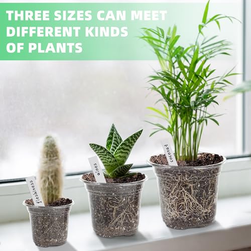LOCONHA Small Plastic Plant Nursery Pot/Pots (36 Packs 5/4/3.5 Inch Plant Pot and 40 Plant Labels) Seedlings Flower Plant Container (Transparent) Seed Starting Pots Indoor Outdoor