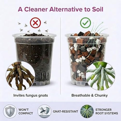 Molly's Orchid Potting Mix Chunky Soil-Free for Indoor Orchids 3 Dry Quarts - size: 3 Dry Quarts, style: Orchids