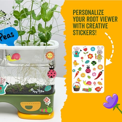 Gardening Root Viewer for Kids - Planting Kits with Seeds & Garden Supplies | Grow Your Own Seed - Home & Classroom Science Stem Learning - Plant Growing Spring Farm Toys & Gifts for Ages 6 Up