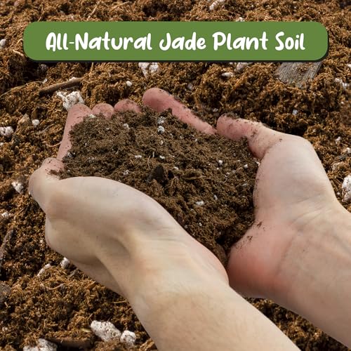 Soil Sunrise Jade Plant Potting Soil Mix (8 Quarts) Hand Blended Additive for Jade Succulents