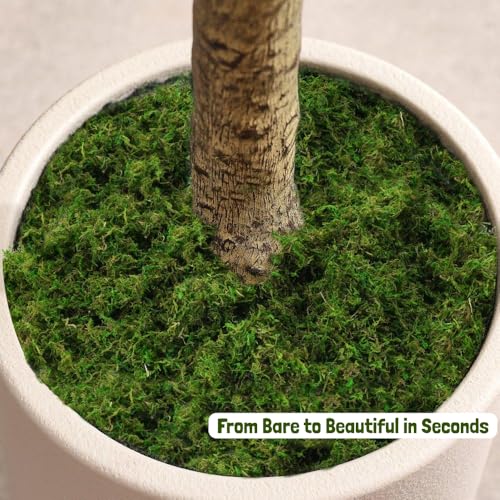 USMOLA Green Moss for Crafts - 4OZ Fake Moss for Indoor Plants, Terrariums, Fairy Gardens & Tabletop Displays | Perfect for Miniature Scenes, Pot Filler & Home Decor Projects