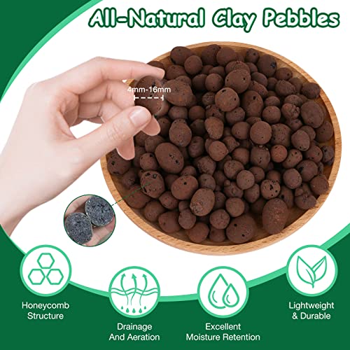 Jabrand All-in-One Plant Care Kit – LECA Clay Pebbles, Artificial Moss & Self-Watering Globes for Hydroponics, Orchids, Indoor & Outdoor Garden Plants