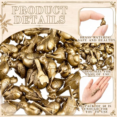 Weysat 50 Pcs Mini Bronze Bird Statue, Falls Bird Figurine Decor | Antique Metal Bird Figurine, Mini Bird Figurine, Falls Fairy Garden Accessories, Gifts for Nature Lovers - style: Bird