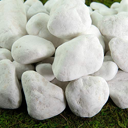Southwest Boulder & Stone Porcelain White Pebbles | 20 lbs | Natural Rocks, White Stones for Potted Plants, Gardening, Succulents, Aquariums, Terrariums, and More (3/8 Inch - 5/8 Inch) - size: 3/8 Inch - 5/8 Inch
