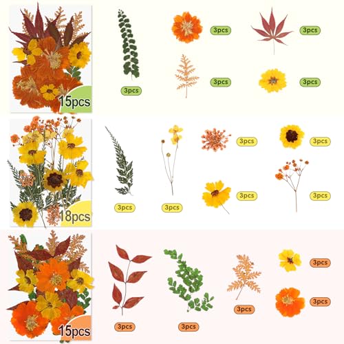 Real Dried Pressed Flowers for Crafts, 100+ PCS Fall Dried Flowers Leaves Nature Flowers Florals Set with Tweezer for Resin Jewelry Making Thanksgiving DIY Candle Scrapbooking Gift (Orange, Yellow) - size: 100 Pcs Pressed Dried Flowers with Tweezers