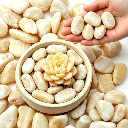 Large Stones Natural Beige Pebbles 6LB,1-2 Inch River Rocks - color: Yellow, size: 6LB