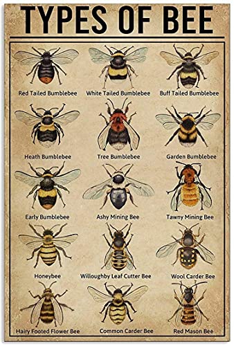 15 Types of Bee Retro Garden Metal Tin Sign Kitchen Restaurant Farm Shopping Mall Bar Cafe Man Cave Farm Wall Decoration Iron Painting Metal Plate 8x12inch