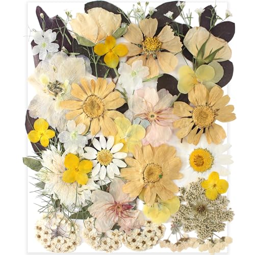 35pcs Dried Pressed Flowers for Resin Molds,YouthBro Real Natural Pressed Flowers for DIY Art Crafts,Candle Making, Nails Décor,Soap Making, Boho Style - color: Dk Boho