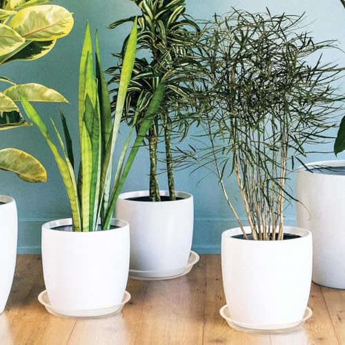 5 Pack Clear Plant Saucer, 4 5 6 8 10 12 14 16 18 20 22 Inch Durable Plastic Water Catcher Trays for Flower Pots, Plant Drip Trays for Indoor Outdoor Planter (5 inch) - size: 5 inch