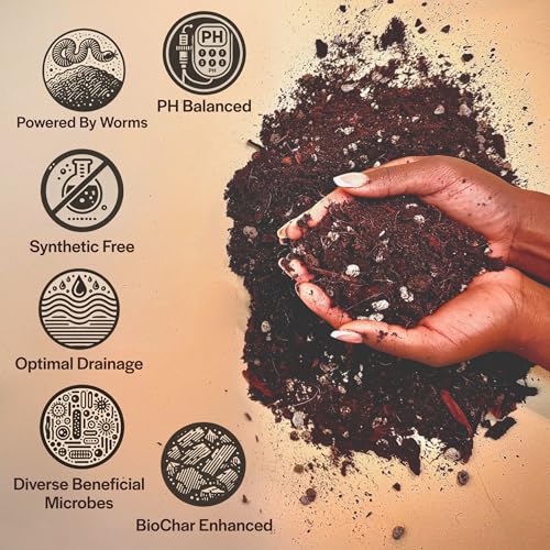Craft Aroid Potting Mix- Elite Organic Alocasia, Philodendron, Monstera Soil Mix, Chunky, Well Draining Potting Soil for Indoor Plants, All Tropical Plants & Houseplants, Sustainable & Peat Free 4QT - size: 4 Quart