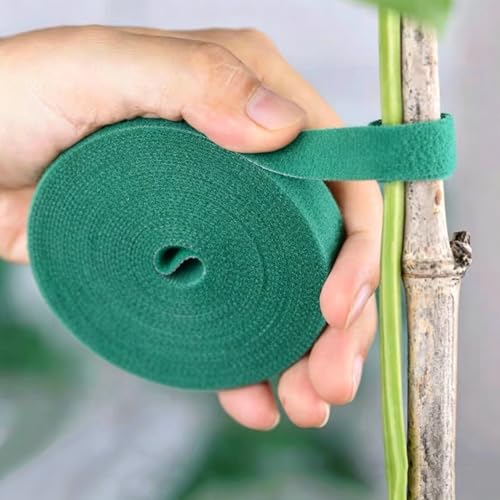 3rolls 2m Reusable Cable Ties Self Adhesive Loop Bundle Fastener Management Nylon Plant Vines Tie Garden Supplies,1cm Width (Green1) - color: Green1