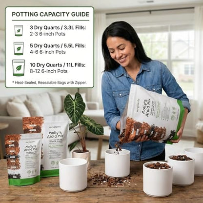 Molly's Aroid Potting Mix, Chunky Soil-Free for Indoor Plants, 5 Dry Quarts - size: 5 Dry Quarts, style: Houseplants & Aroids