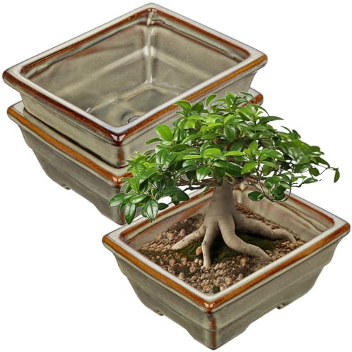 Villa Como Set of 2 Bonsai Pots with with Drainage Hole, 6.3" Brown Glazed | Ceramic Rectangle Bonsai Tree Pots, Small Bonsai Planters for Indoor Outdoor Plants, Succulents, Cactus, Home, Patio, Garden - color: Light Brown, size: 6.3"x4.9"x2.8"