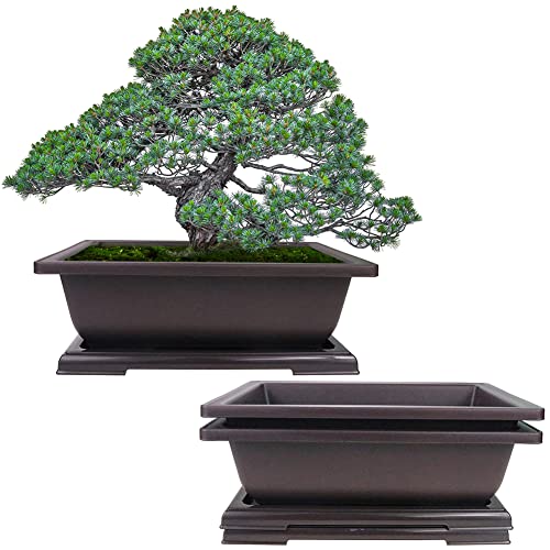 MUZHI 3PCS Large Rectangular Bonsai Tree Pots Planters with Tray 10" - size: 3PCS Rect XL 10.1"