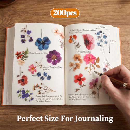 200 Pcs Flower Stickers, Dried Flower Stickers for Scrapbooking, Pressed Sticker for Scrapbook Supplies, Natural Floral Botanical Decals for Junk Journal Supplies, Scrapbook Sticker, Planner Resin Art