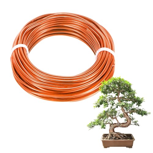 M METERXITY 1-Pack Bonsai Training Wire, 2.5mm x 33ft/10m Anodized Aluminum Bonsai Tree Wire for Gardening Branch/Fine Trunk/DIY Crafting [Orange] - color: Orange, size: 2.5mm